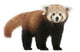 Young Red panda Wall Decal