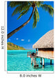 Bungallow and Palm with