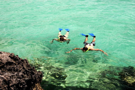 Snorkeling Wall Decal