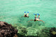 Snorkeling Wall Decal
