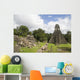 jaguar pyramid and ruins Wall Mural