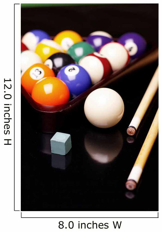 Billiard Time Wall Mural