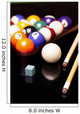 Billiard Time Wall Mural