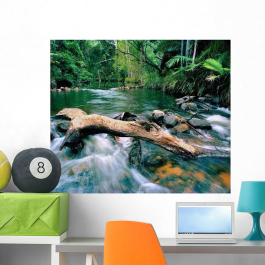 National Park Wall Decal