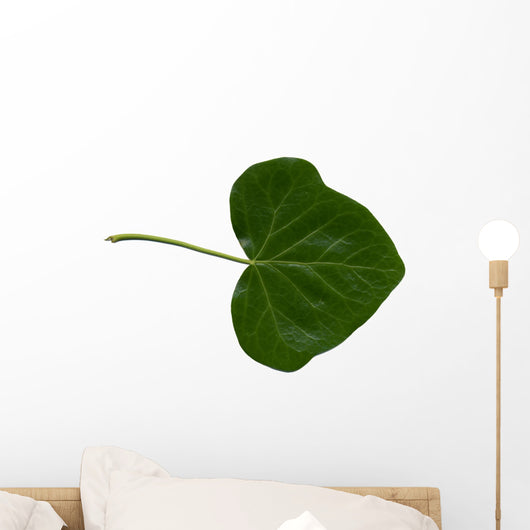 Feuille Lierre Wall Decal