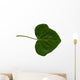 Feuille Lierre Wall Decal