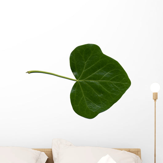Feuille Lierre Wall Decal