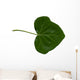 Feuille Lierre Wall Decal
