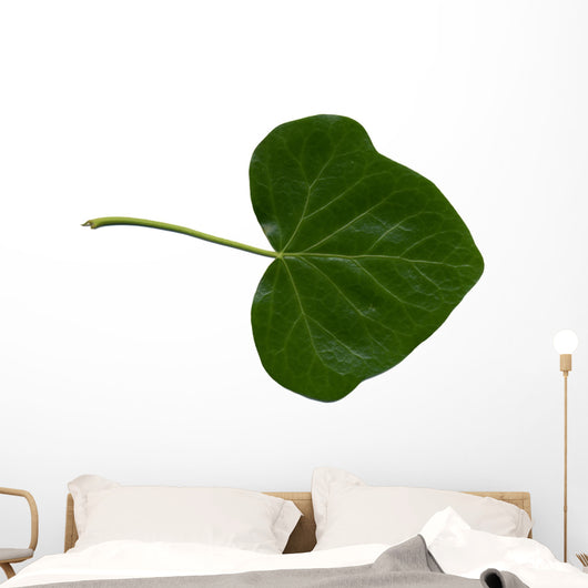 Feuille Lierre Wall Decal