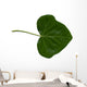 Feuille Lierre Wall Decal