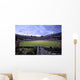 Baseball Field Wall Mural
