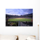 Baseball Field Wall Mural