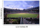 Baseball Field Wall Mural