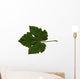 Vine Leaf Wall Decal