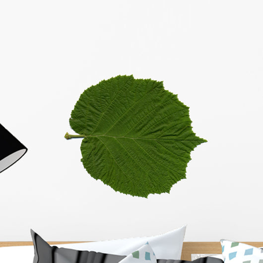 Feuille Noisetier Wall Decal