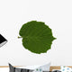 Feuille Noisetier Wall Decal