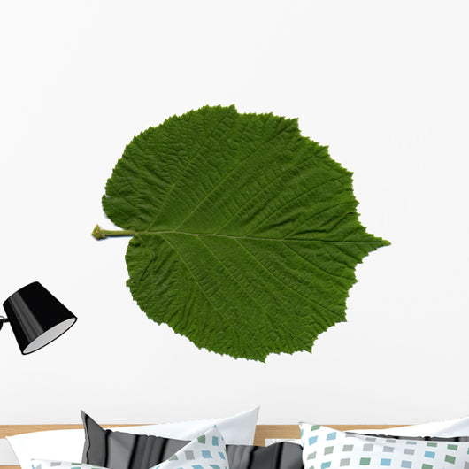Feuille Noisetier Wall Decal
