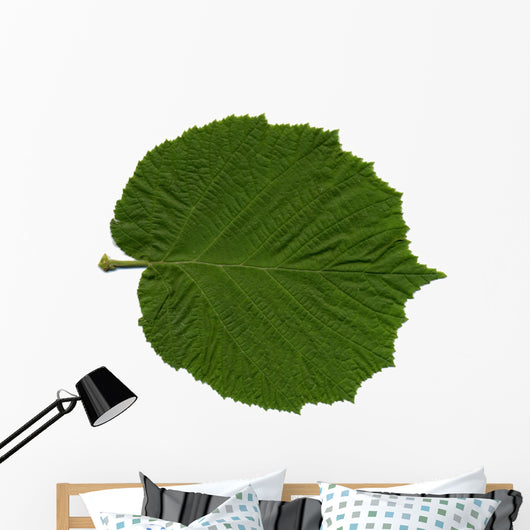 Feuille Noisetier Wall Decal