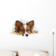 Papillon Dog Wall Mural