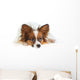 Papillon Dog Wall Mural