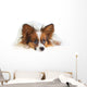 Papillon Dog Wall Mural
