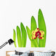 Orchid and Leaves Wall Mural