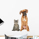 Brown Cat and Dog