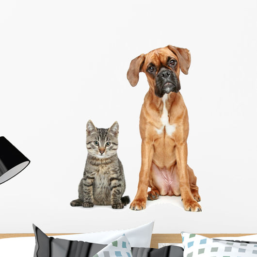 Brown Cat and Dog