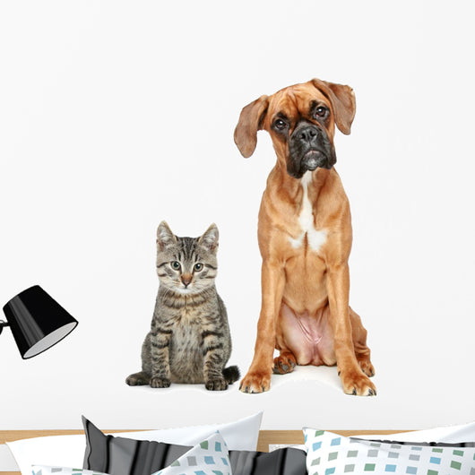 Brown Cat and Dog