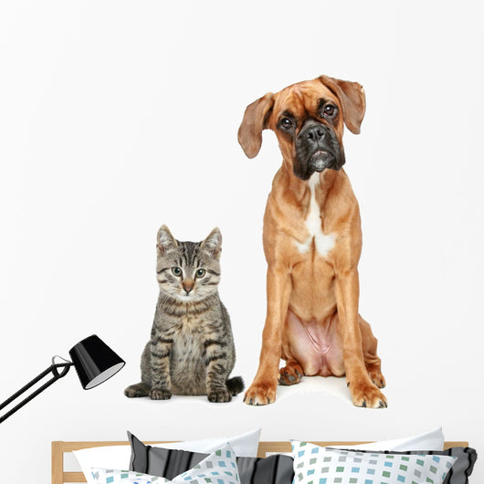 Brown Cat and Dog