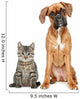 Brown Cat and Dog