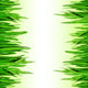 Grass Border Wall Mural