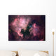 North America Nebula Ngc Wall Decal