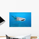 Whale shark Wall Mural
