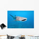 Whale shark Wall Mural
