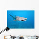 Whale shark Wall Mural