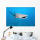Whale shark Wall Mural