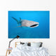 Whale shark Wall Mural