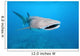 Whale shark Wall Mural