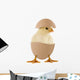 Little Chick Egg