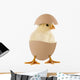 Little Chick Egg