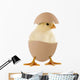 Little Chick Egg