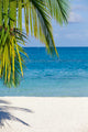 Holiday Paradise Wall Mural