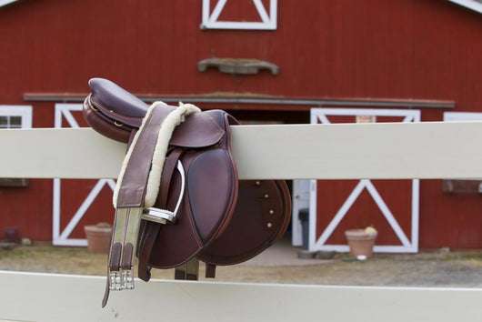 Riders Saddle Wall Mural