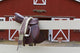 Riders Saddle Wall Mural