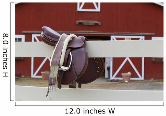Riders Saddle Wall Mural