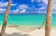 Hammock Tropical Beach