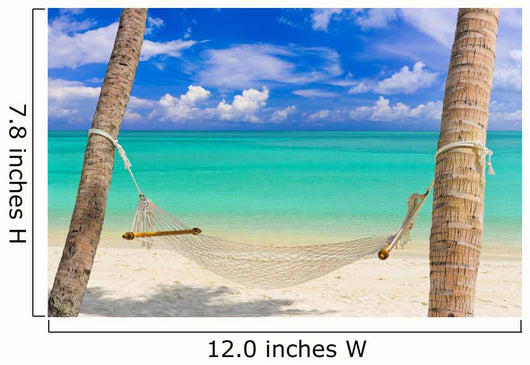 Hammock Tropical Beach