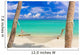 Hammock Tropical Beach