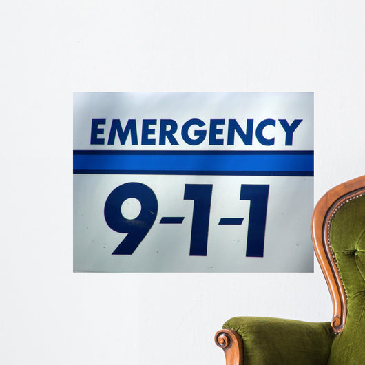 Dial 911 Wall Mural